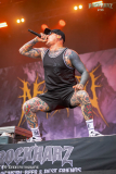 040726_RHZ_04_Necrotted_012