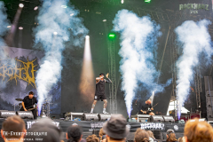 040726_RHZ_04_Necrotted_018