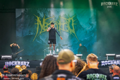040726_RHZ_04_Necrotted_020