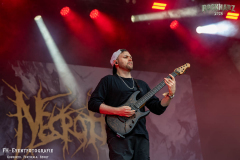 040726_RHZ_04_Necrotted_044