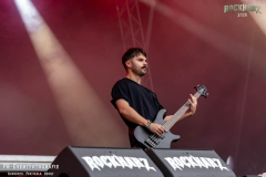 040726_RHZ_04_Necrotted_046