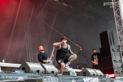 040726_RHZ_04_Necrotted_048