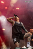040726_RHZ_04_Necrotted_054