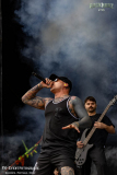 040726_RHZ_04_Necrotted_064