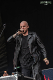 040726_RHZ_01_Pinhead_002