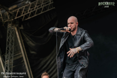 040726_RHZ_01_Pinhead_004