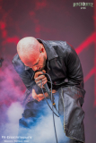 040726_RHZ_01_Pinhead_051