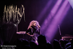 050426_KuFa_01_Aux_Animaux_034