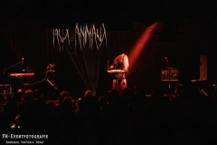 050426_KuFa_01_Aux_Animaux_045