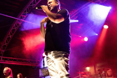 0809_St_Deluxe_Set_2_066