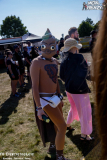 MFOA25_Do_05_Kupfergold_040