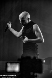 12102024_West_02_Forced_To_Mode_043