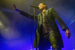 150923_01_West_Florian_Grey_007