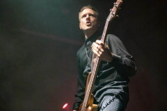 150923_01_West_Florian_Grey_010