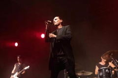 150923_01_West_Florian_Grey_013