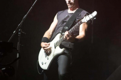 150923_01_West_Florian_Grey_014