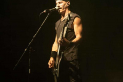 150923_01_West_Florian_Grey_016