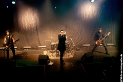 150923_01_West_Florian_Grey_020