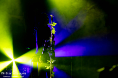 15112025_KuFa_02_About_Monsters_016