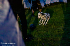 160526_Teichb_06_Evilive_045