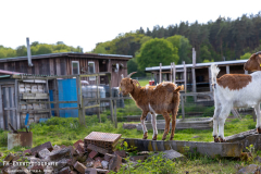 160526_Teichb_02_Krachmacht_028