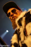 170125_01_Brunhilde_031
