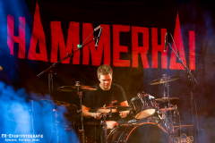 17022024_KufA_03_Hammerhai_001