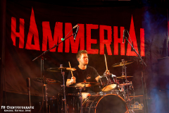 17022024_KufA_03_Hammerhai_002