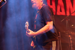 17022024_KufA_03_Hammerhai_003