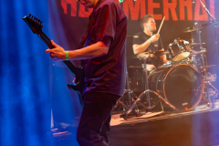 17022024_KufA_03_Hammerhai_005