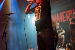 17022024_KufA_03_Hammerhai_017