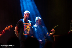 17022024_KufA_03_Hammerhai_045