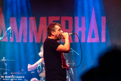 17022024_KufA_03_Hammerhai_048