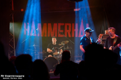 17022024_KufA_03_Hammerhai_050