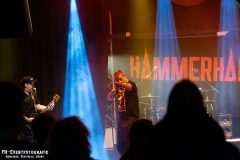 17022024_KufA_03_Hammerhai_053