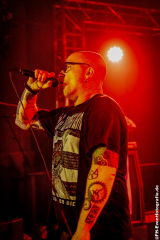 Commercial_Suicide_15102022_024