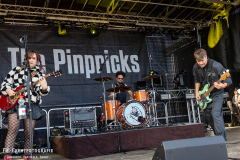 220826_Acker_03_The_Pinpricks_006
