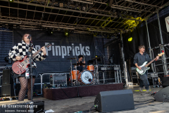 220826_Acker_03_The_Pinpricks_017