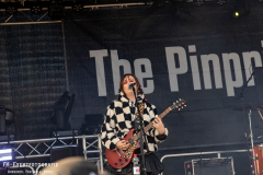 220826_Acker_03_The_Pinpricks_029
