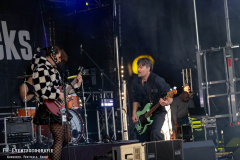 220826_Acker_03_The_Pinpricks_036