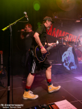 230824_KuWe_04_Hammerhai_001