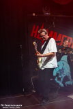 230824_KuWe_04_Hammerhai_012