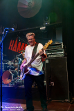 230824_KuWe_04_Hammerhai_019