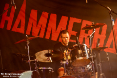 230824_KuWe_04_Hammerhai_030