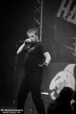 230824_KuWe_04_Hammerhai_033