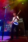 230824_KuWe_04_Hammerhai_034