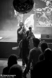 230824_KuWe_04_Hammerhai_048