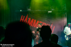 230824_KuWe_04_Hammerhai_055