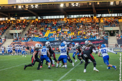 2608_Lions_vs_Allg_101