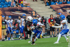 2608_Lions_vs_Allg_110